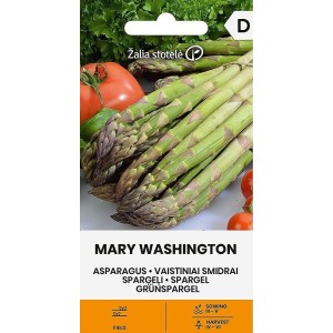 Аспержи Вашингтон Mary Washington