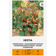 Фасул Хестия Hestia (саксиен с бяло зърно)