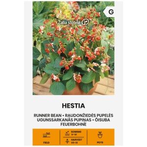 Фасул Хестия Hestia (саксиен с бяло зърно)
