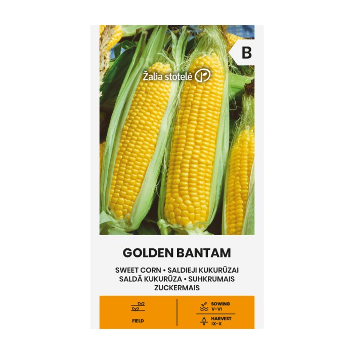 Царевица захарна Голдън батам Golden Bantam