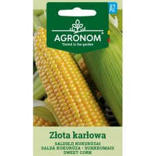 Царевица сладка Злота Карлова Zlota Karlowa