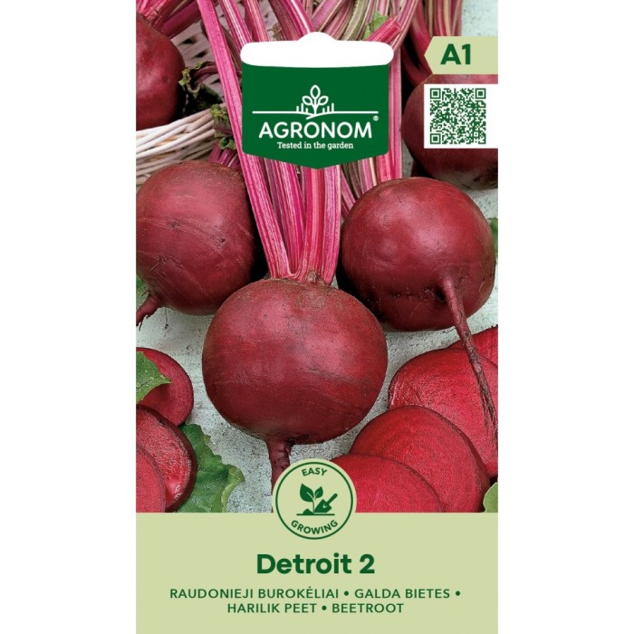 Салатно цвекло Детройт 2 Beta vulgaris L