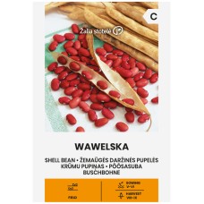 Фасул за зрял Вавелска Wawelska (храстовиден с червено зърно)