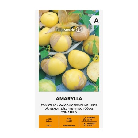 Физалис Амarylla – ядлив физалис (Physalis ixocarpa)