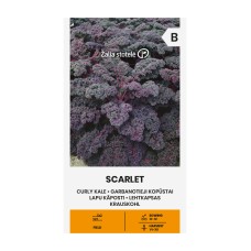 Кейл къдрав Скарлет Skarlet