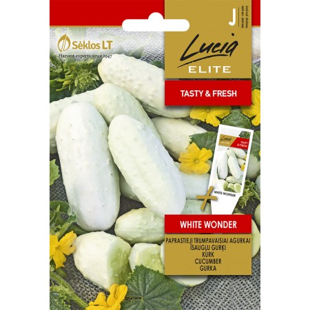 Краставица Бяло чудо White wonder