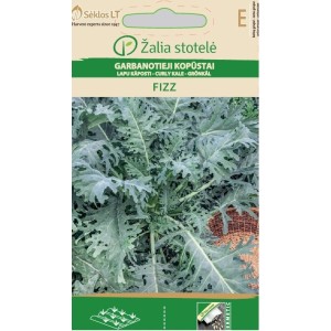 Кейл (Къдраво зеле) Fizz Brassica oleracea