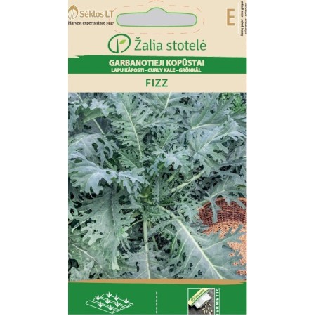 Кейл (Къдраво зеле) Fizz Brassica oleracea