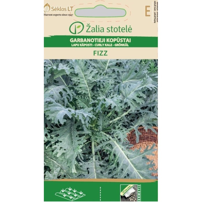 Кейл (Къдраво зеле) Fizz Brassica oleracea