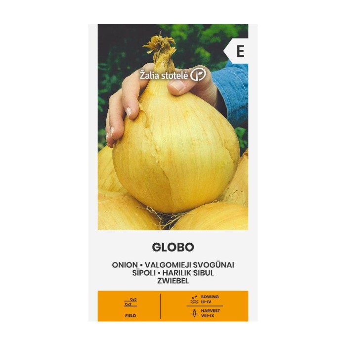 Лук Гигант Глобо Allium cepa L Globo