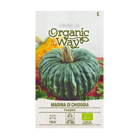Органик Тиква Marina di Chioggia