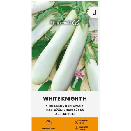 Патладжан Бял рицар F1 White Knight H