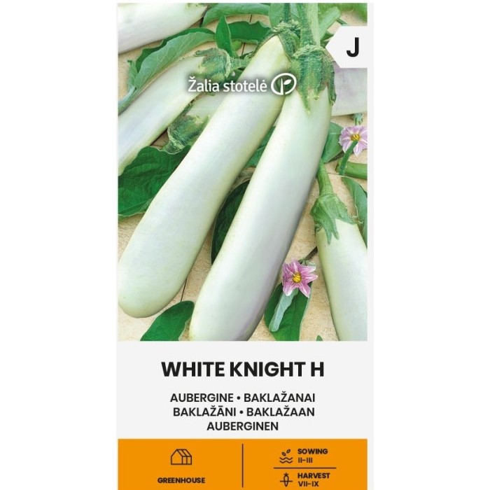 Патладжан Бял рицар F1 White Knight H