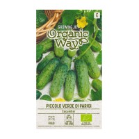 Органик Краставици Пиколо Верде Ди Парижи Piccolo verde di Parigi