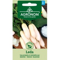 Репички Леда Leda