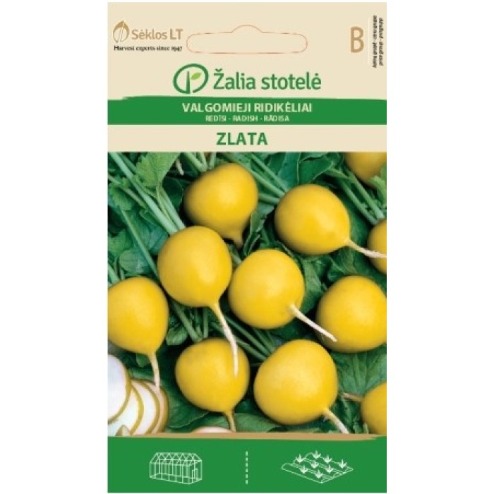 Репички Злата Zlata