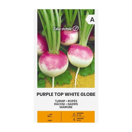 Ряпа Purple Top White Globe