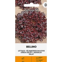 Салата Белино Bellino