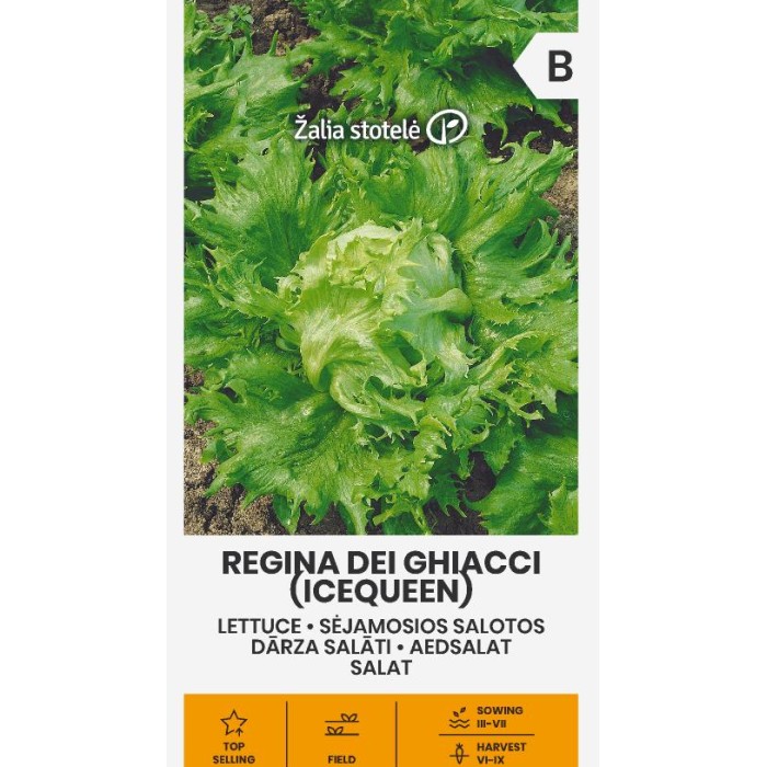 Салата Ледена кралица Regina dei ghiaccie