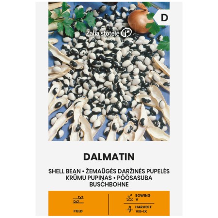 Фасул Далматин Dalmatin (храстовиден с шарено бяло-черно зърно)
