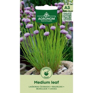 Шивес Чеснов Medium leaf