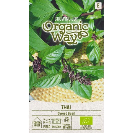 Органик Босилек Тай Ocimum basilicum