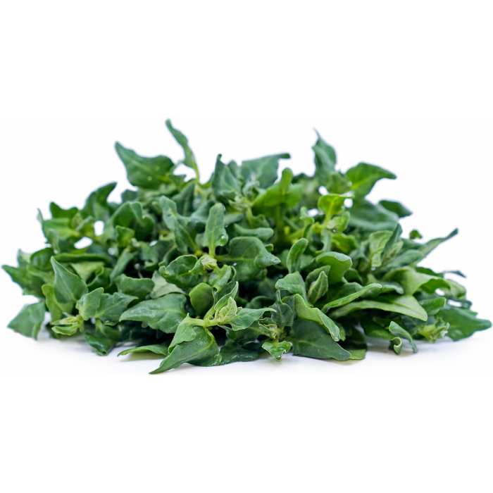 Спанак Нова Зеландия (летен сорт) Spinich New Zealand