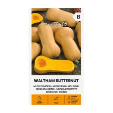 Тиква Бутернут (мускатна) Waltham Butternut