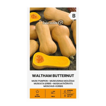 Тиква Бутернут (мускатна) Waltham Butternut