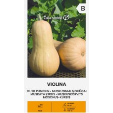 Тиква Мускатна Виолина Violina