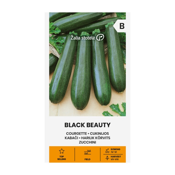 Тиквички Блек Бюти BLACK BEAUTY