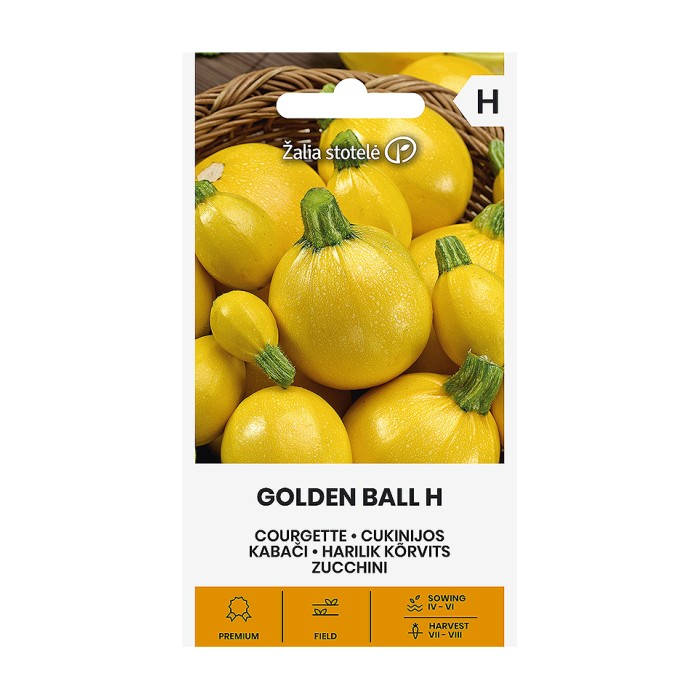 Тиквички Златна Топка F1  Golden ball H