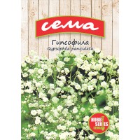 Гипсофила Gypsophila paniculata