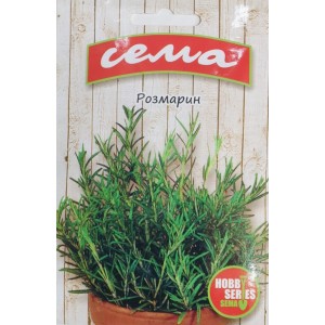 Розмарин Rosmarinus officinalis