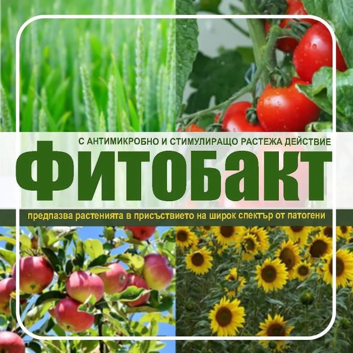 Фитобакт - живи клетки от естествени фунгицидни бактерии Bacillus subtilis 1л