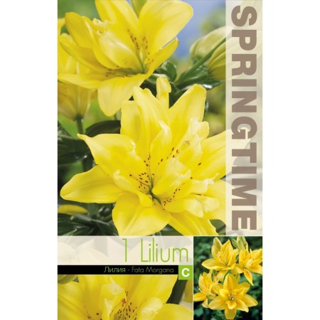 Лилиум Lilium Asiatic Fata Morgana - 1 бр луковицa