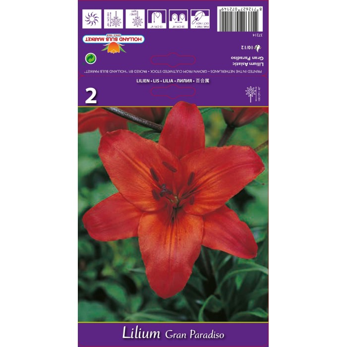 Лилиум Гран Парадизо Lilium Gran Paradiso - 2 бр луковици