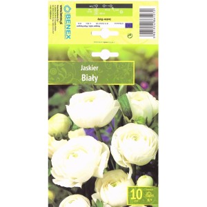 Лютиче Бяло Ranunculus - 10 бр луковици