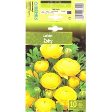 Лютиче Жълто Ranunculus - 10 бр луковици