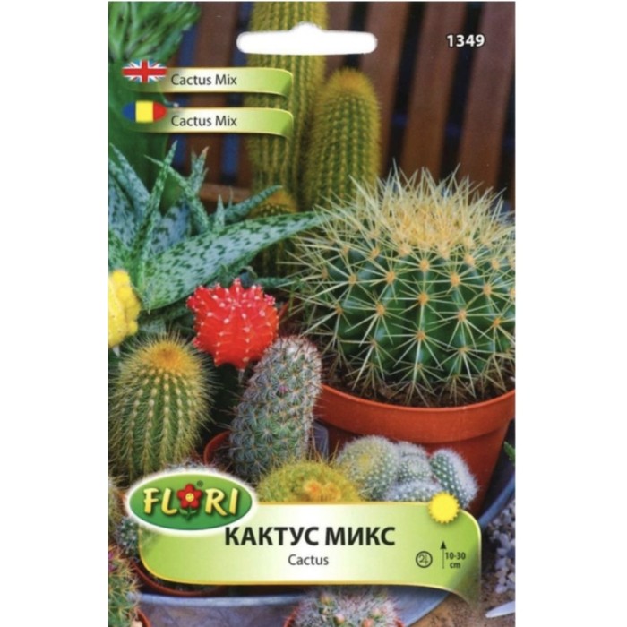 Кактус микс Cactus mix