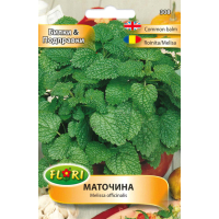 Маточина Melissa officinalis