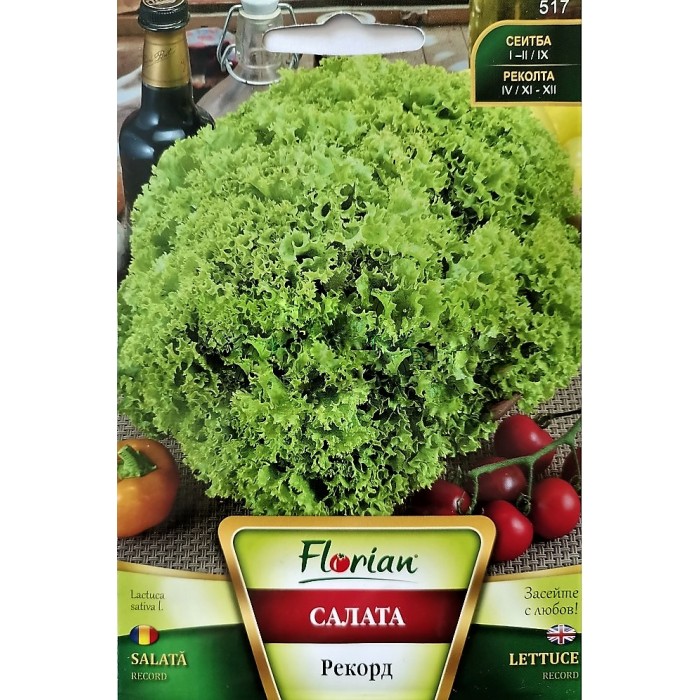 Салата Рекорд