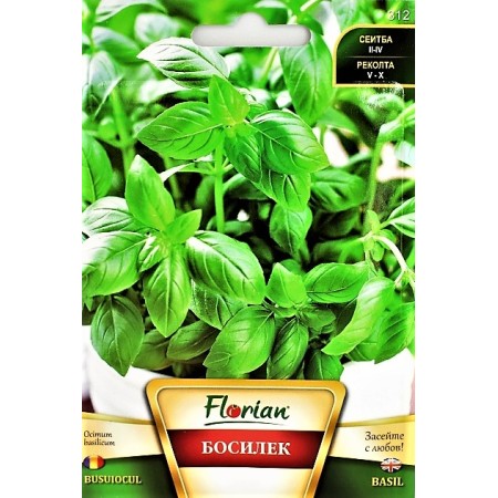 Босилек Ocimum basilicum