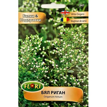 Бял риган Origanum hirtum
