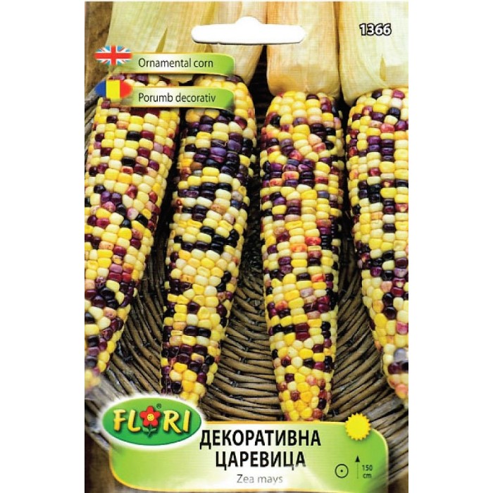Декоративна царевица