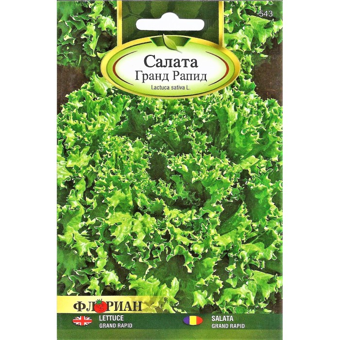 Салата Гранд Рапид