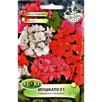 Мушкато F1 Pelargonium x hortorum