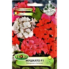 Мушкато F1 Pelargonium x hortorum
