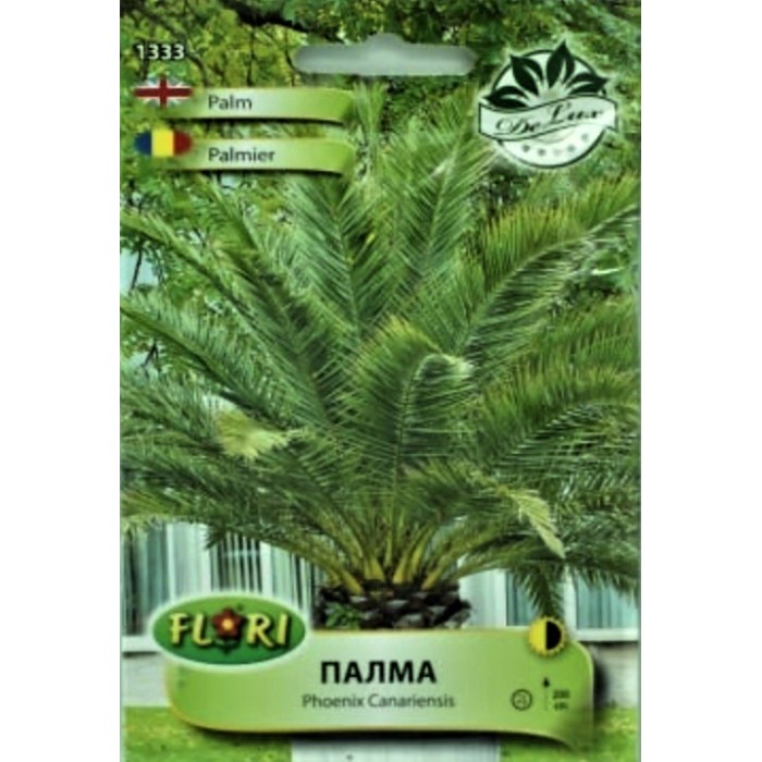 Палма (Карибска) финикова Phoenix Canariensis