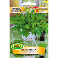 Валериана Valeriana officinalis